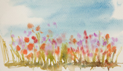 Beautiful landscape of flower field with blue sky, wildflower field, watercolor hand painted , can be used  for postcard
