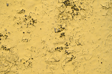 The texture of the yellow paint on the stone