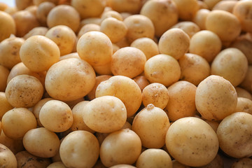 Heap of raw organic potato, closeup