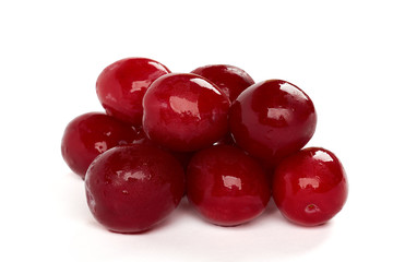 Red plum on white