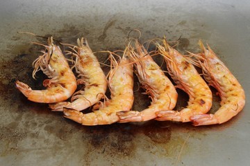 gambas crevette plancha frais diners grille mer assiette langoustine poisson