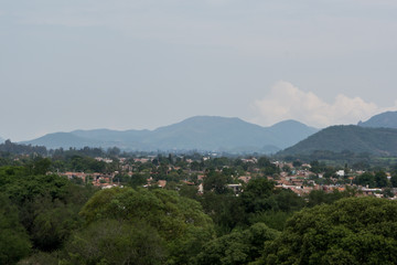 Obraz premium mascota