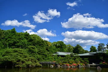 Fototapeta premium Japanese garden, pond and sky Kyoto Japan