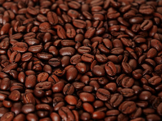 roasted coffee beans, can be used as a background