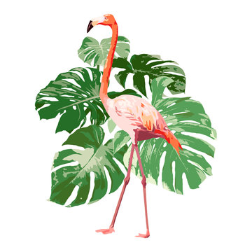 pink flamingo with green tropical monstera leaf illustration, bird vector on white background