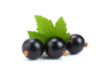 black currant with green leaf isolated on white background