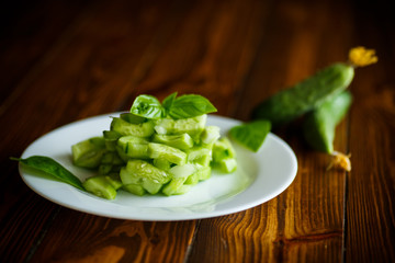 Fresh cucumber salad