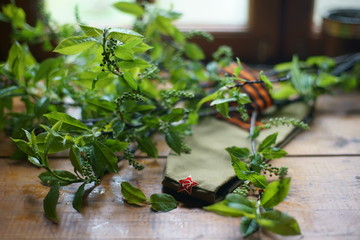 Military forage cap.