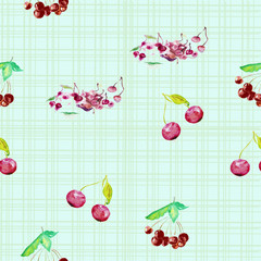 Watercolor illustration of berries