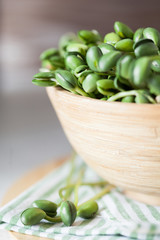 Green soybean sprouts in wooden bowl