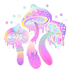 Magic mushrooms. Psychedelic hallucination. Vibrant vector illustration.