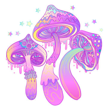 Magic mushrooms. Psychedelic hallucination. Vibrant vector illustration.