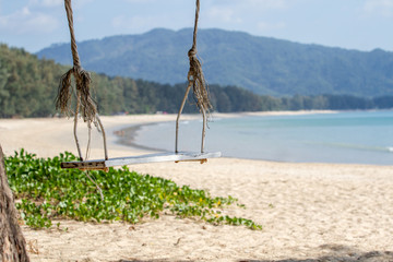 Travel to Island Koh Lanta, Thailand. The swing under the tree on the sand beach near to the sea.