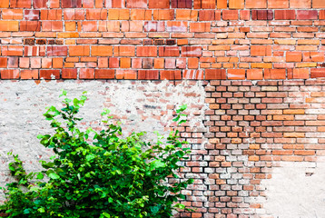 Orange dirty wall