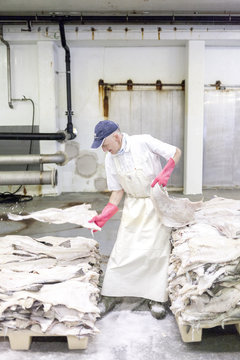 A worker stacks salted and dried cod onto pallets 
