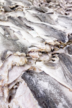 Aried and salted cod air drying.