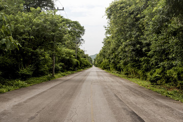 Fototapeta na wymiar Country road with forest