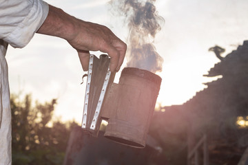 Beekeeper makes smoke under hive. Beekeeping. Apiary. Man's hand holds smoke