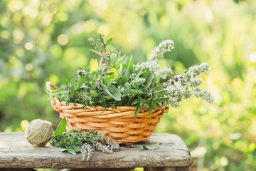 Medicinal plants in the basket