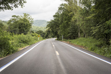 Naklejka premium Country road with forest