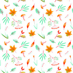 Seamless pattern of a flower, plants, rowan,acorn,maple and mushroom. Autumn and herbs image. Watercolor and pencil color hand drawn illustration.White background.