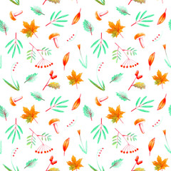 Seamless pattern of a flower, plants, rowan,acorn,maple and mushroom. Autumn and herbs image. Watercolor and pencil color hand drawn illustration.White background.