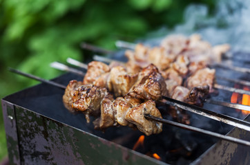 Barbecue on a picnic on a summer day.