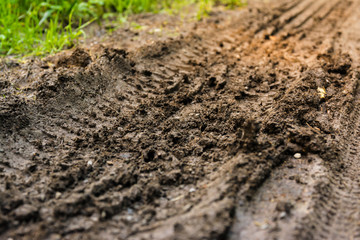 Tire Tracks Forest Floor Soil Dirt Path Earth Nature Outdoors