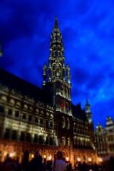 Fototapeta premium Brüssel Rathaus