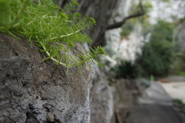 Fototapeta premium grenoble