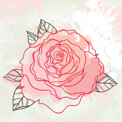 Beautiful roses bouquet drawing on beige grunge background. Hand drawn vector highly detailed line art illustration over watercolor painted texture.