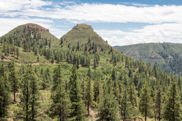 Twin Buttes and evergreen forest in Durango, Colorado