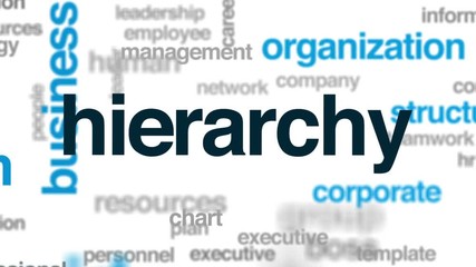 Hierarchy animated word cloud, text design animation.