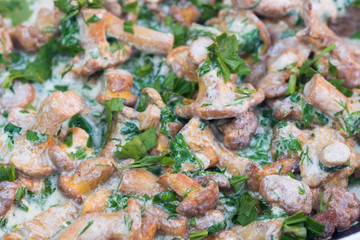 chantarelle mushroom sauce