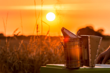 Obraz premium Das Arbeitsgerät Smoker eines Imkers im Licht des Sonnenuntergangs - Gegenlicht 
