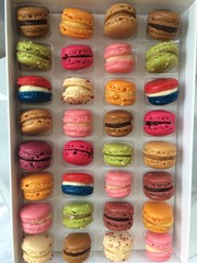 Macaron multicolore
