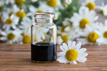 A bottle of chamomile essential oil with chamomile flowers