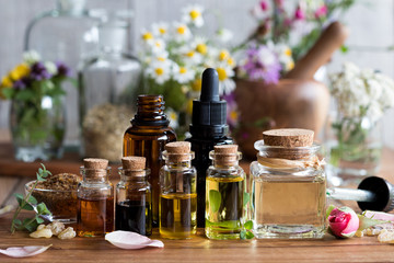 Selection of essential oils with various herbs and flowers - obrazy, fototapety, plakaty