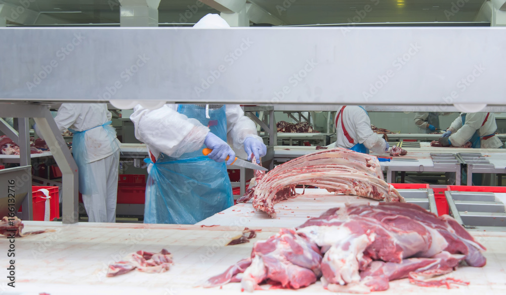 Wall mural cutting meat slaughterhouse workers in a meat factory.