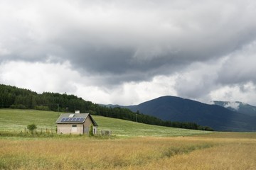 Barn in the wheat field. Slovakia