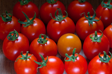 Yellow tomato and heap red tomatoes