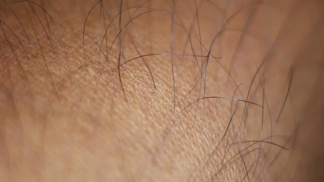 Close up of Human Skin Texture 
