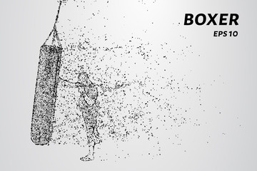 Boxer consists of dots and circles. A boxer trains. Boxer beats the punching bag. Vector illustration.