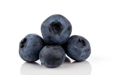 blueberries isolated close up