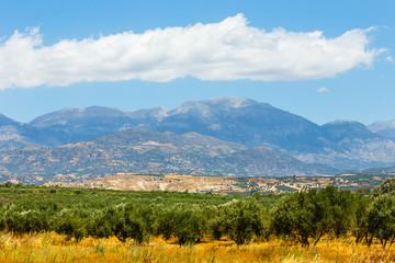 Beautiful mountain landscape with olive plantation, Crete Island, Greece