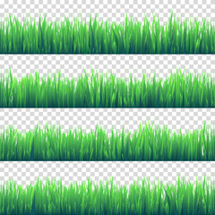 Grass isolated on transparent background set. Green meadow. Nature background. Spring, summer time.