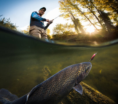 Fishing. Fisherman and trout, underwater view