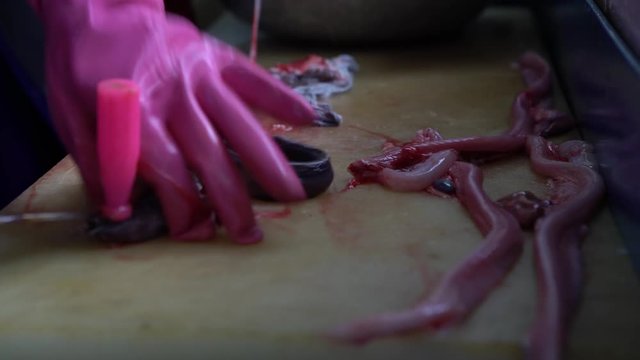 4K South Korean woman at work in restaurant Prepping kkomjangeo for grilling, knife cut behind the head and remove the skin off a live eel at Jagalchi Fish Market Busan. Chef cook food South Korea-Dan