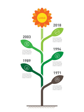 Vertical Timeline infographics. The development and growth of the business. Business concept with options, parts, steps or processes. Time line of Social tendencies and trends graph.