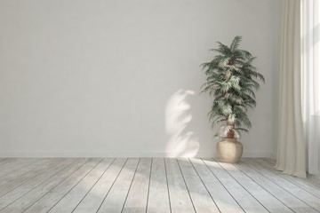 White empty room with flower and blank wall. Scandinavian interior design. 3D illustration